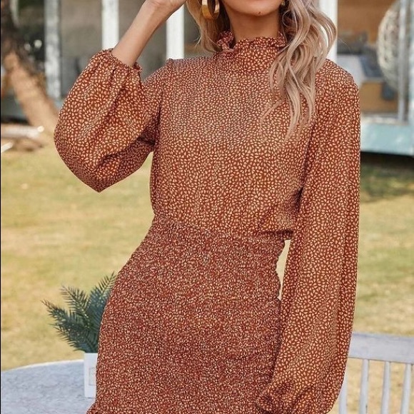 Brown Rust Neckline Lantern Sleeve Mini Dress - Picture 4 of 5